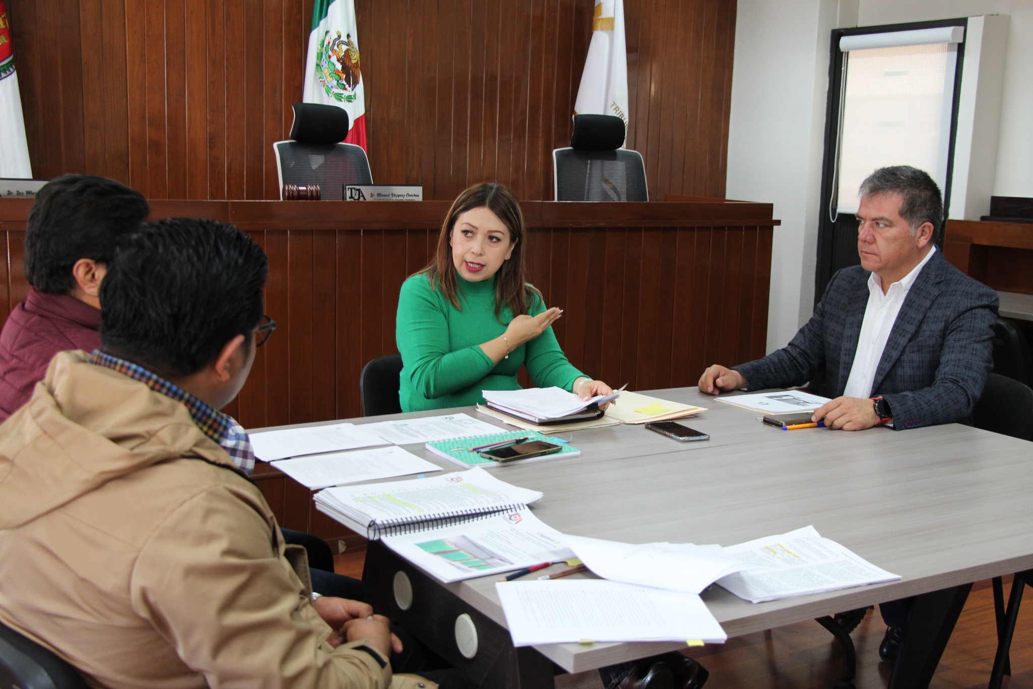  Manual para la organización de los expedientes judiciales
