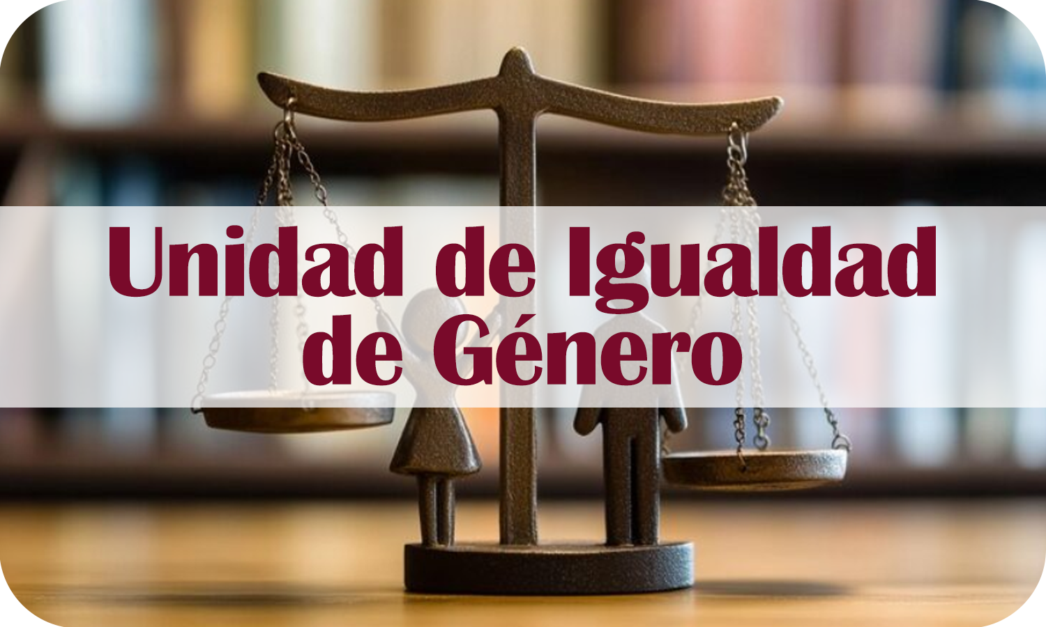Igualdad de Genero