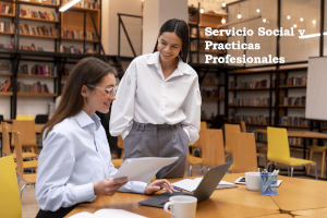 Servicio Social